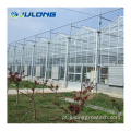 Venlo Style Glass Horticultural Greenhouse